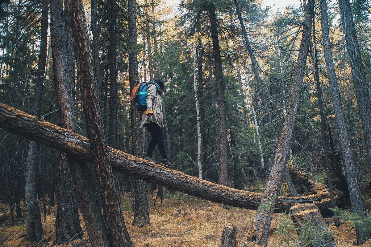 Hike in the forest