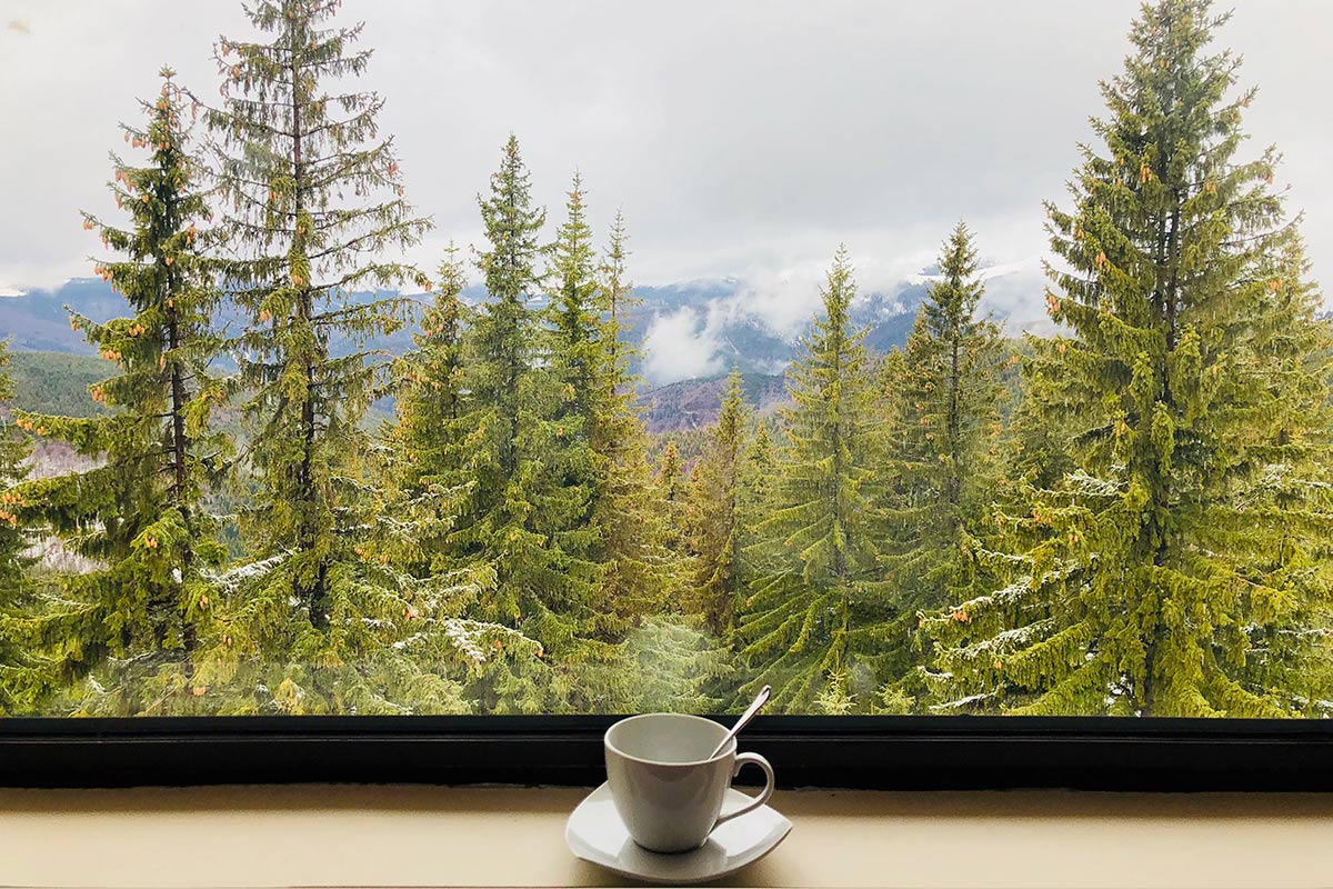 Cup of coffee with a view