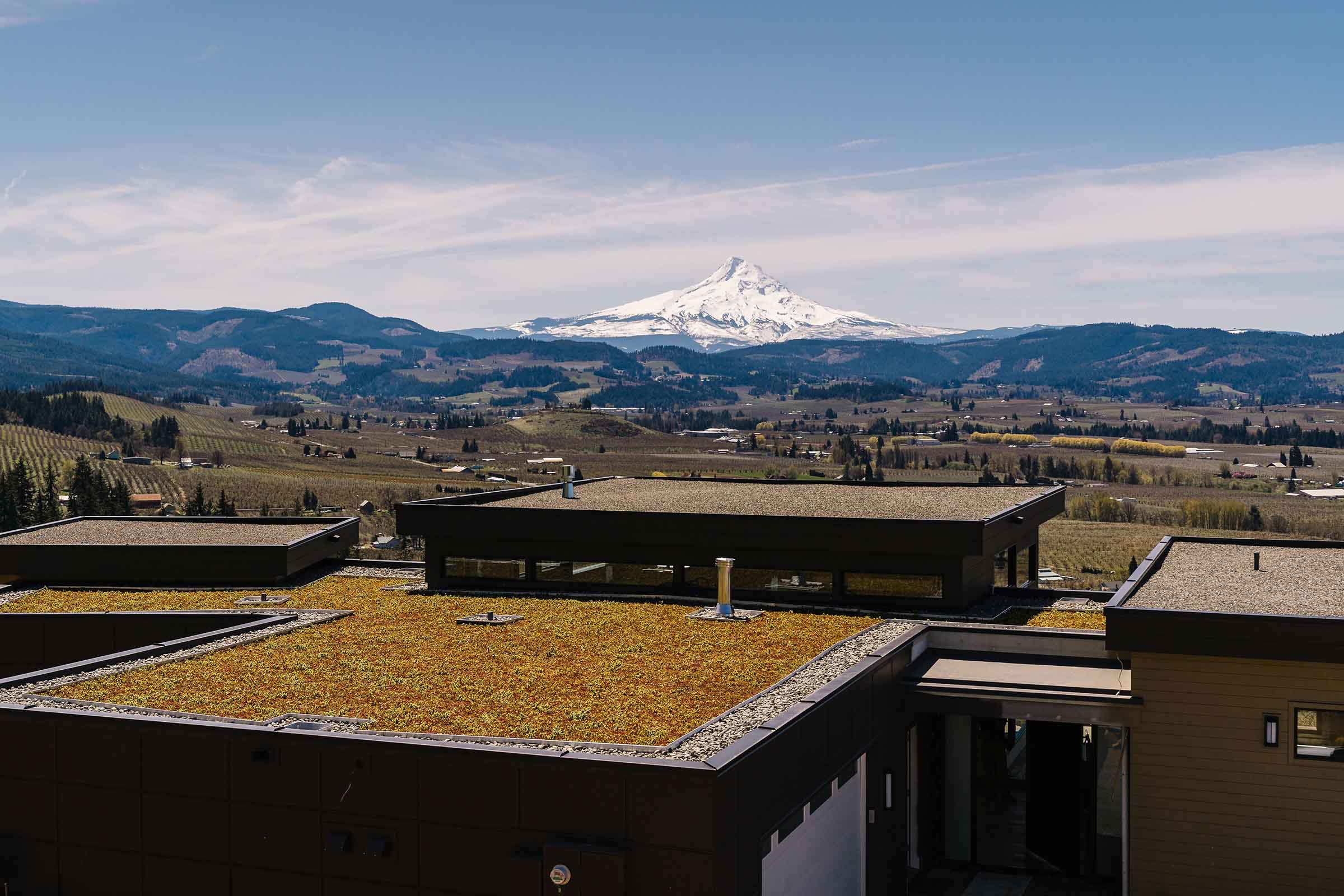 sustainable-home-living-roof